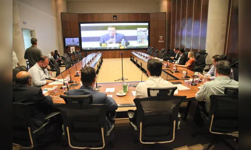 Governadores do Sul e Sudeste debatem impactos da pandemia