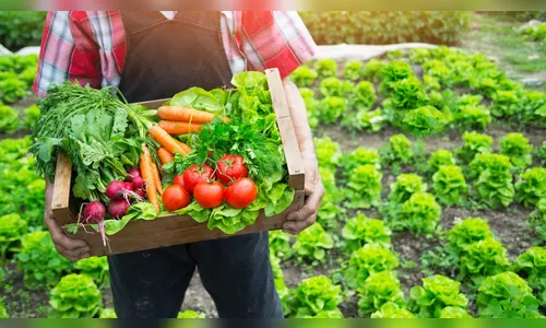 Produtores rurais se adaptam às mudanças de consumo de alimentos devido à pandemia