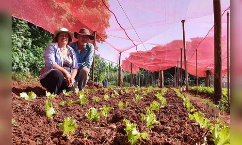 Investimento qualificado gera frutos para agricultores familiares