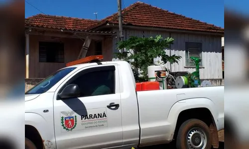 São Pedro do Ivaí adota fumacê para tentar controlar epidemia de dengue