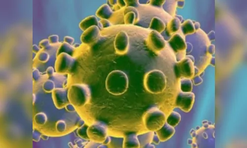 Confirmados mais quatro casos de Covid-19 em Arapongas