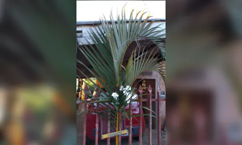 
							Diocese de Apucarana transmite Missa de Ramos pela internet; assista
						
						