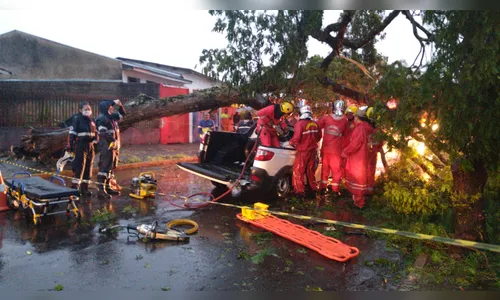 Árvore cai sobre veículo e passageiro fica preso, em Apucarana 