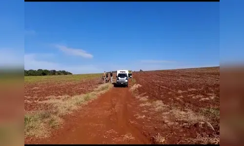 Corpo degolado é encontrado em estrada rural de Apucarana