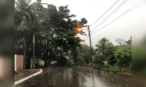 Chuva com vento forte causa estragos em Apucarana 