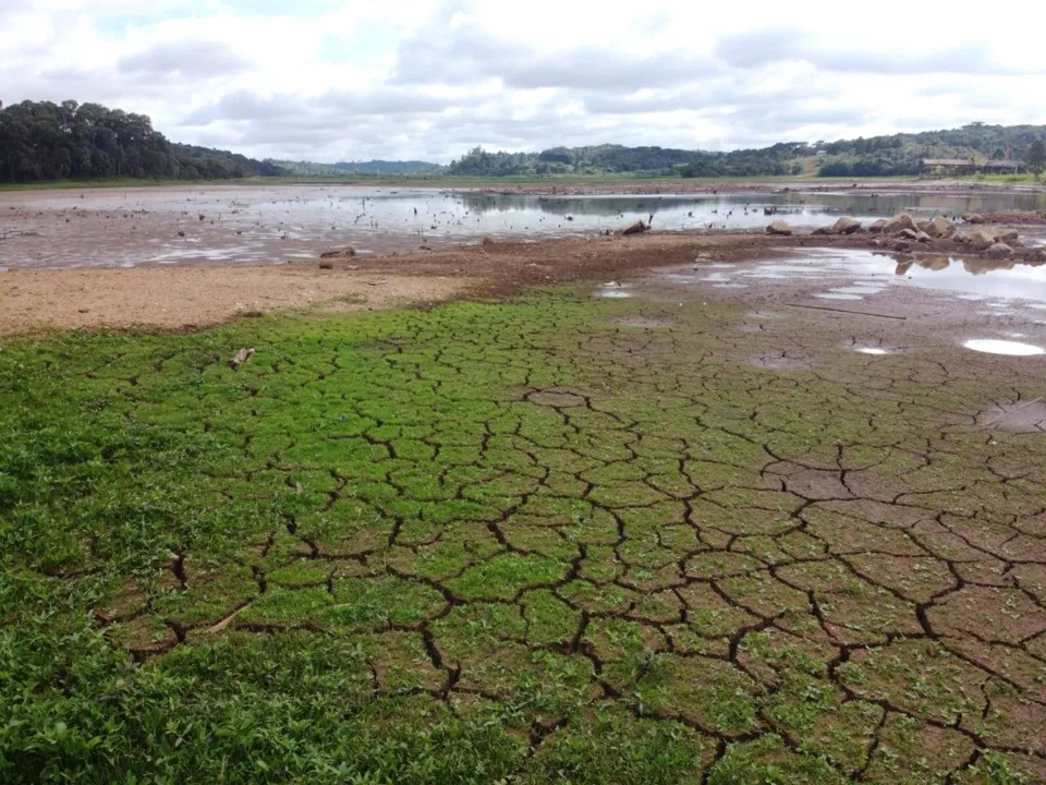 Paraná sofre com estiagem mais severa dos últimos anos