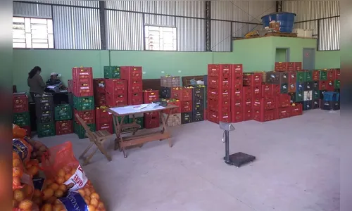 Agricultores aumentam produção de frutas em Ivaiporã