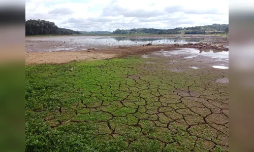 Paraná sofre com estiagem mais severa dos últimos anos