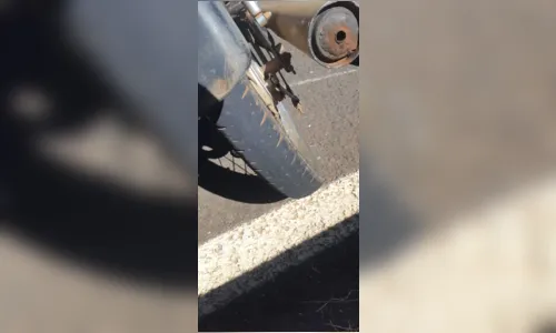 
							Motociclista sem habilitação sofre queda na BR-376
						
						