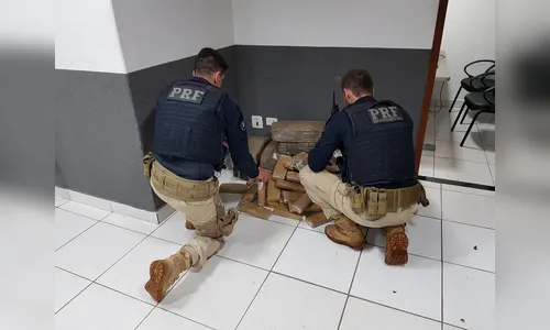 PRF apreende 142 quilos de maconha na cidade de Floresta 