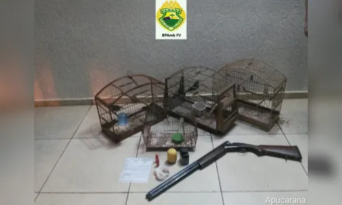 Polícia Ambiental apreende arma e autua homem por caça, em São João do Ivaí