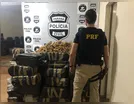 PRF e Denarc de Maringá apreendem quase 900 quilos de maconha em Castelo Branco