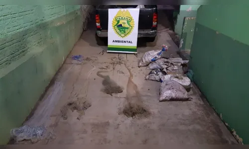 Em operação contra pesca predatória, Polícia Ambiental prende suspeito com mandado de prisão ativo