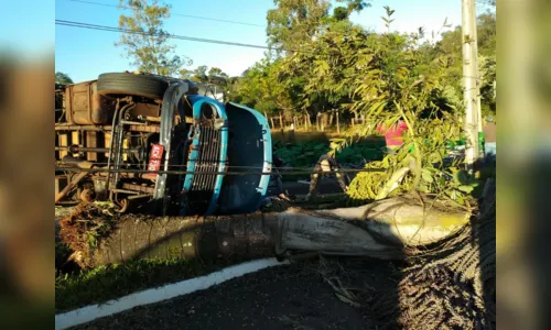 
						
							Caminhão carregado com peixe tomba em Arapongas; assista
						
						