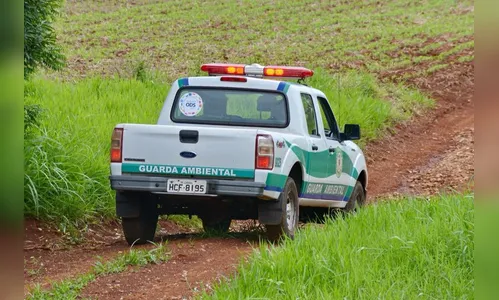 GM de Arapongas apura denúncia de lançamento irregular de resíduos em pastagem