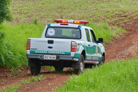 GM de Arapongas apura denúncia de lançamento irregular de resíduos em pastagem