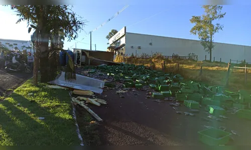 Caminhão carregado com peixe tomba em Arapongas; assista