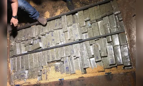 Apreensão de drogas cresce quase 40% no Paraná