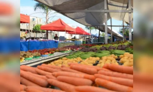 Decreto autoriza volta das feiras livres em Arapongas, mas com várias regras