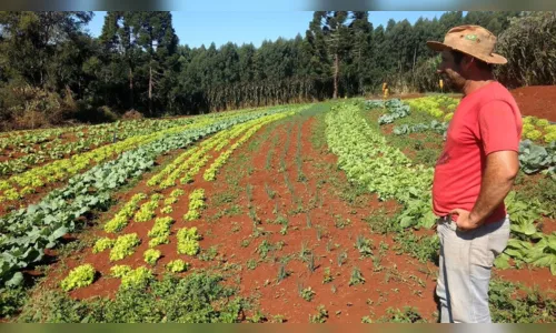 Cooperativa de orgânicos aumenta faturamento durante a crise do Coronavírus