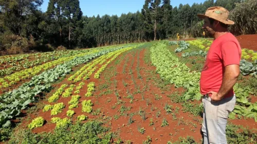 Foto: Cooperativa Cores da Terra