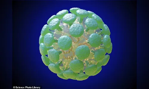 Lunardelli investiga um caso de coronavírus