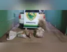 Homem é detido por pesca predatória em Jacarezinho