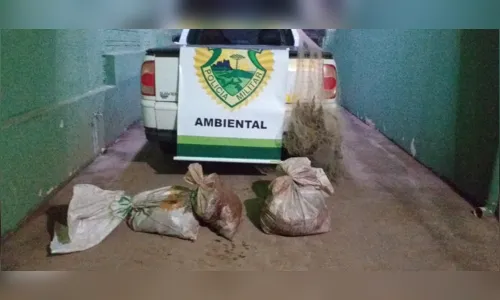 Homem é detido por pesca predatória em Jacarezinho
