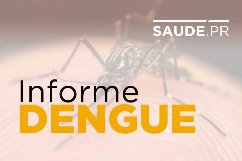 Casos de dengue sobem para 128,4 mil no Paraná