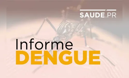 Casos de dengue sobem para 128,4 mil no Paraná