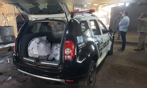Polícia Civil de Apucarana incinera drogas nesta quarta-feira