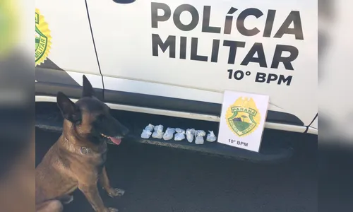 PM de Apucarana prende dois homens e apreende maconha na Vila Regina