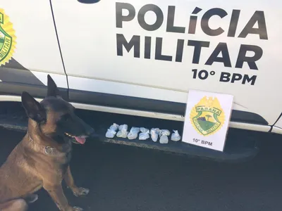 Foto: Divulgação / PM