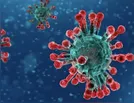 Pacientes com Covid-19 somam 1156; 682 se recuperaram e 73 morreram no Paraná 