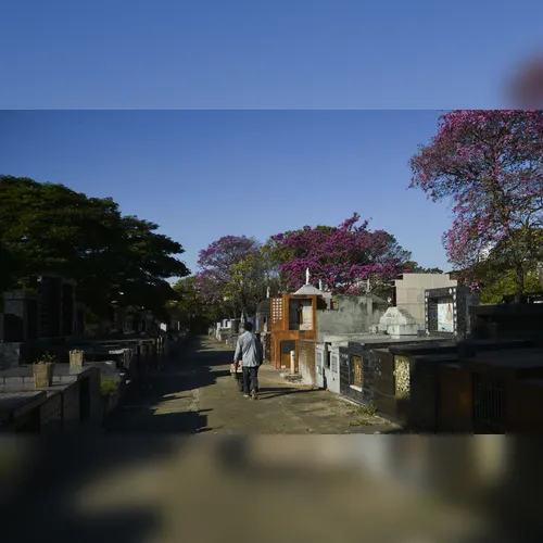 Sepultamento em tempos de covid-19 exige mudança de rituais