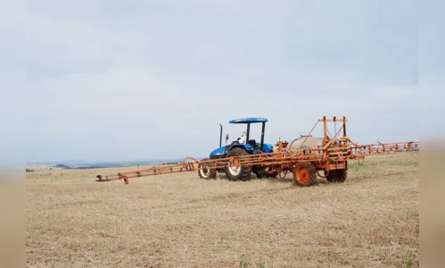 Soja: Agricultores esperam safra recorde 
