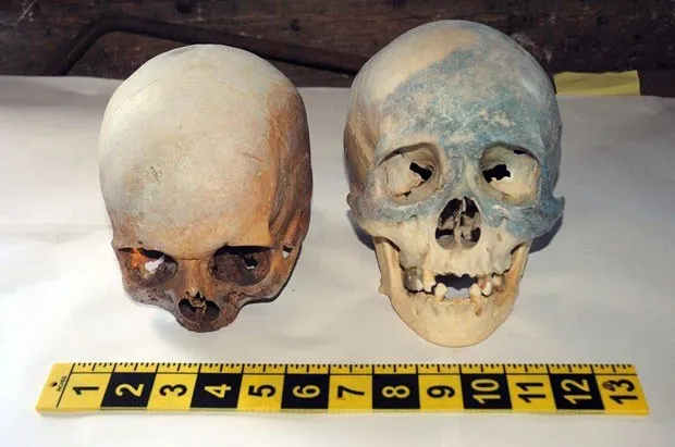 Crânios humanos com livros sobre satanás e bruxaria foram achados em estação de tratamento de lixo (Foto: Stamford Police Department/AP)