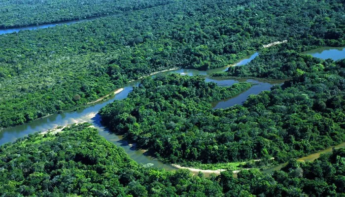 Estudo relaciona seca do Sudeste a desmatamento da Amazônia