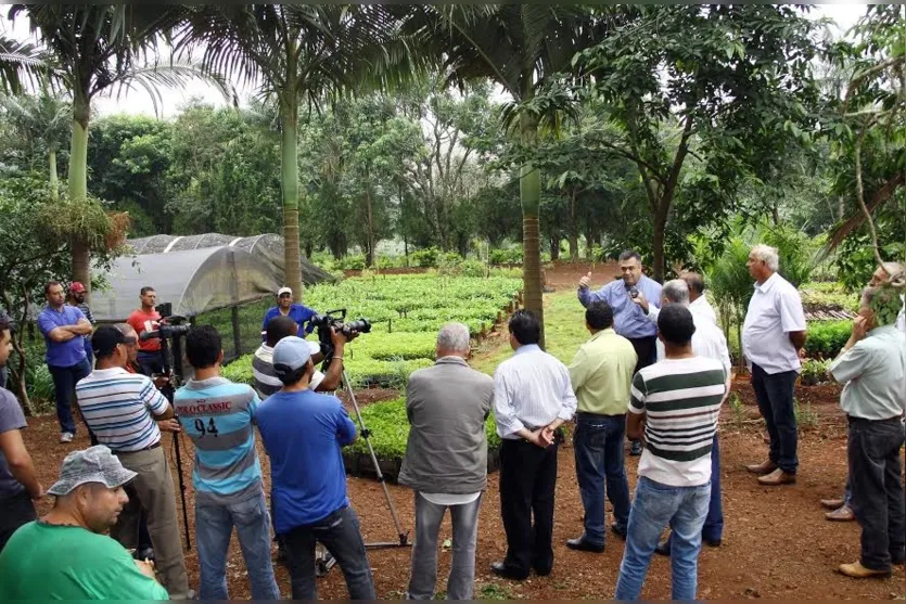  Programa Terra Forte repassa 30 mil mudas a produtores rurais  - Foto: Assessoria de imprensa 