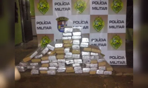 Polícia localiza 73 quilos de maconha em Borrazópolis