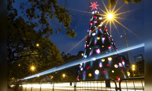 Árvore de Natal do Ibirapuera será inaugurada neste sábado