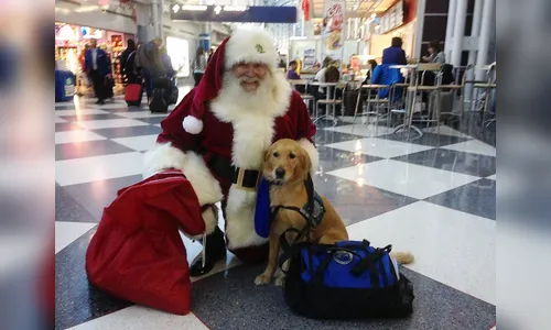 ​Companhia aérea leva cães para ‘acalmar’ passageiros em aeroporto nos EUA