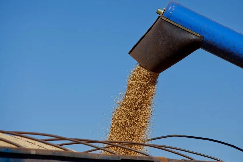 Paraná lidera produtividade de soja e milho no País, diz IBGE -imagem ilustrativa-arquivo TNONLINE