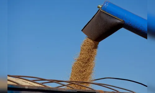 Paraná lidera produtividade de soja e milho no País 