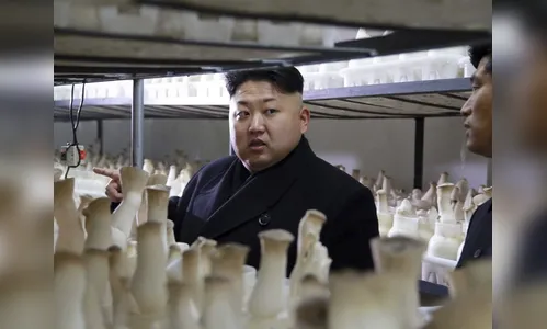 ​Ditador da Coreia do Norte visita 'fazenda' de cogumelos