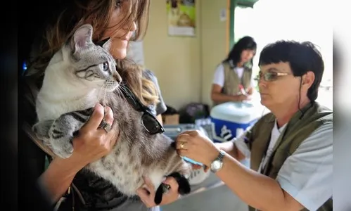 Pet shops terão de manter veterinário para inspeções de animais