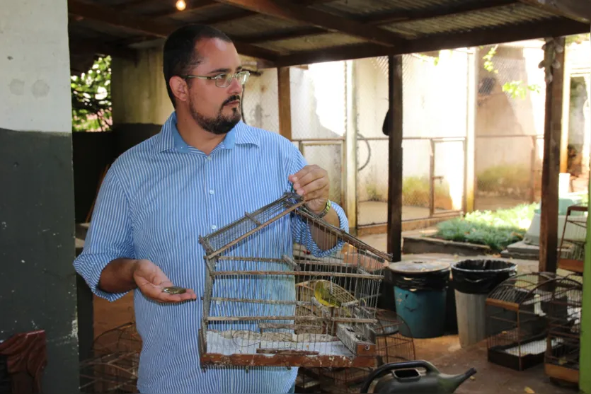  Secretário de Meio Ambiente, Everton Pires, quando contabilizava montante de pássaros furtados - Foto: Sérgio Tibi 