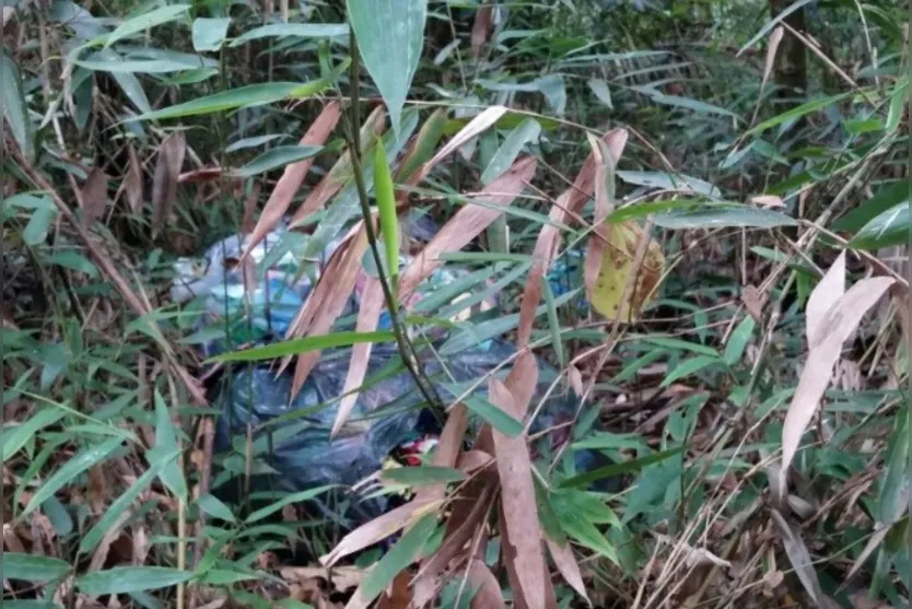  Internautas registraram imagens do descaso e descarte de lixo no local - Foto: Contribuição Via Whatsapp 
