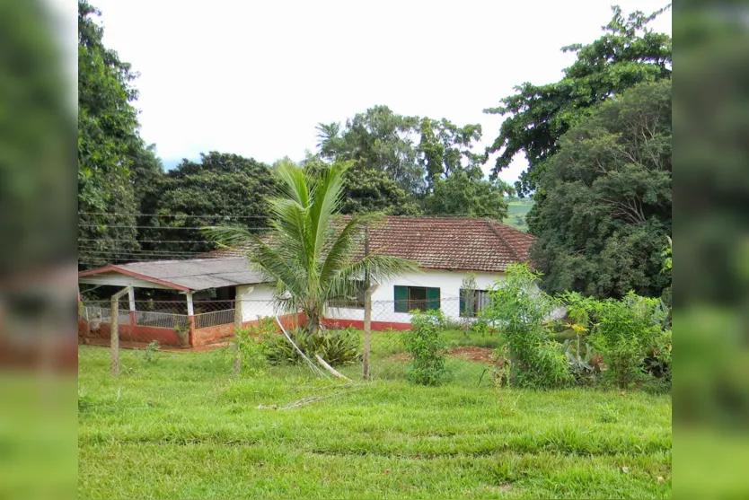 Borrazópolis - Líder de ocupação nega ameaças e abate de animais