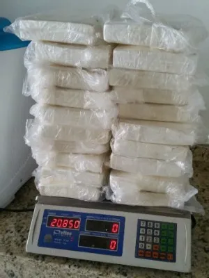 Polícia apreendeu 20,8 kg de cocaína (Foto: Divulgação/ PRE)
